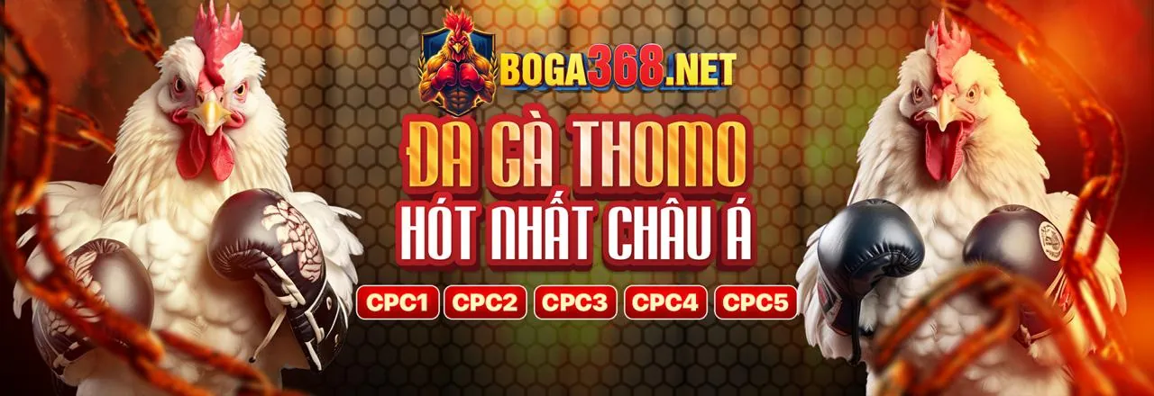 Tin tức viva8 nhà cái mới nhất